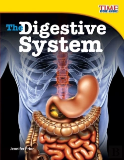 Bertrand.pt - The Digestive System