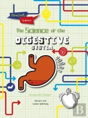 The Digestive System