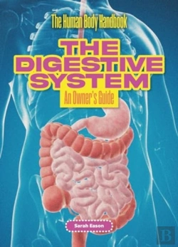 Bertrand.pt - The Digestive System