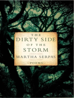 Bertrand.pt - The Dirty Side Of The Storm
