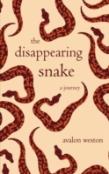 The Disappearing Snake