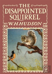 The Disappointed Squirrel - Illustrated By Marguerite Kirmse