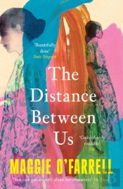 The Distance Between Us