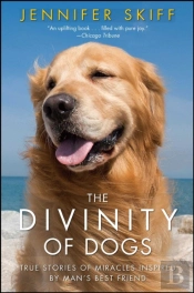 The Divinity Of Dogs