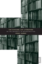 The Division Of Literature