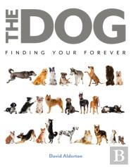 The Dog