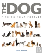 The Dog