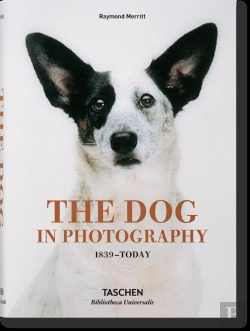 Bertrand.pt - The Dog In Photography 1839â€“Today