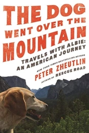 The Dog Went Over The Mountain