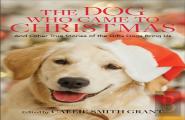 The Dog Who Came To Christmas Â€“ And Other True Stories Of The Gifts Dogs Bring Us