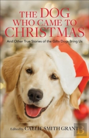 The Dog Who Came To Christmas Â€“ And Other True Stories Of The Gifts Dogs Bring Us