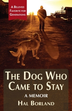 Bertrand.pt - The Dog Who Came To Stay: A Memoir