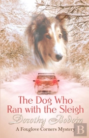 The Dog Who Ran With The Sleigh