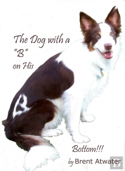 Bertrand.pt - The Dog With A &Quote;B&Quote; On His Bottom!!!