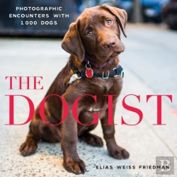Bertrand.pt - The Dogist