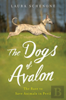 The Dogs Of Avalon
