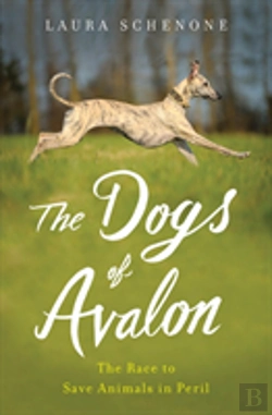 Bertrand.pt - The Dogs Of Avalon