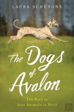 Bertrand.pt - The Dogs Of Avalon