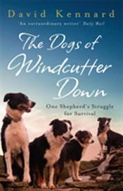 The Dogs Of Windcutter Down