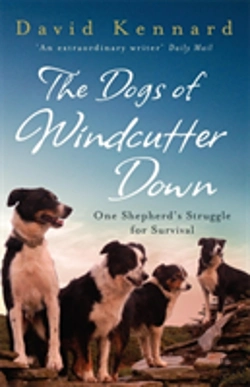 Bertrand.pt - The Dogs Of Windcutter Down