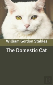 The Domestic Cat