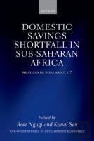 The Domestic Savings Shortfall In Sub-Saharan Africa