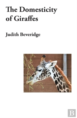 Bertrand.pt - The Domesticity Of Giraffes