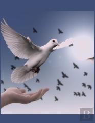 The Dove Christian Inspirational Notebook