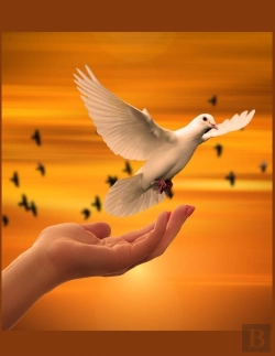 Bertrand.pt - The Dove Christian Inspirational Notebook