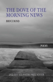 The Dove Of The Morning News