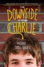 The Downside Of Being Charlie