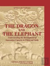 The Dragon And The Elephant