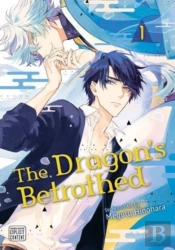 The Dragon'S Betrothed, Vol. 1