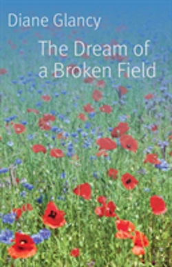Bertrand.pt - The Dream Of A Broken Field