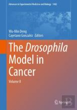 The Drosophila Model In Cancer