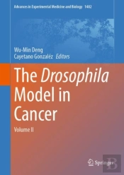 The Drosophila Model In Cancer