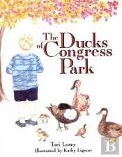 The Ducks Of Congress Park