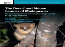 The Dwarf And Mouse Lemurs Of Madagascar