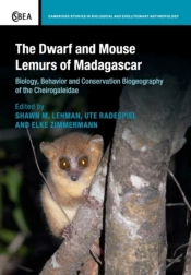 The Dwarf And Mouse Lemurs Of Madagascar