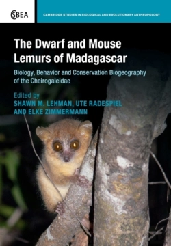 Bertrand.pt - The Dwarf And Mouse Lemurs Of Madagascar