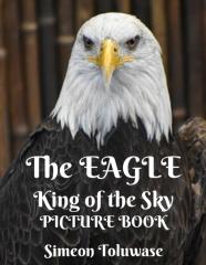 The Eagle The King Of The Sky Picture Book