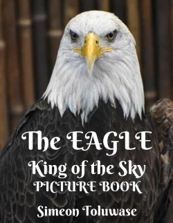 Bertrand.pt - The Eagle The King Of The Sky Picture Book