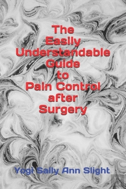Bertrand.pt - The Easily Understandable Guide To Pain Control After Surgery
