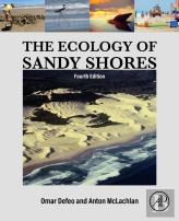 The Ecology Of Sandy Shores