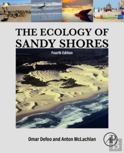 Bertrand.pt - The Ecology Of Sandy Shores