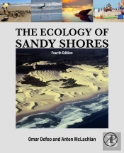 The Ecology Of Sandy Shores