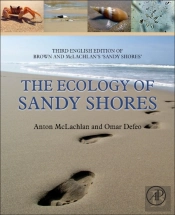 The Ecology Of Sandy Shores