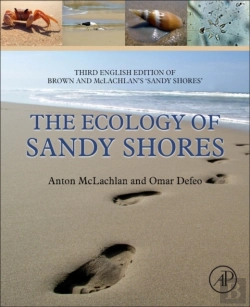 Bertrand.pt - The Ecology Of Sandy Shores