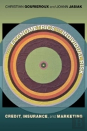 The Econometrics Of Individual Risk