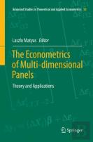 The Econometrics Of Multi-Dimensional Panels